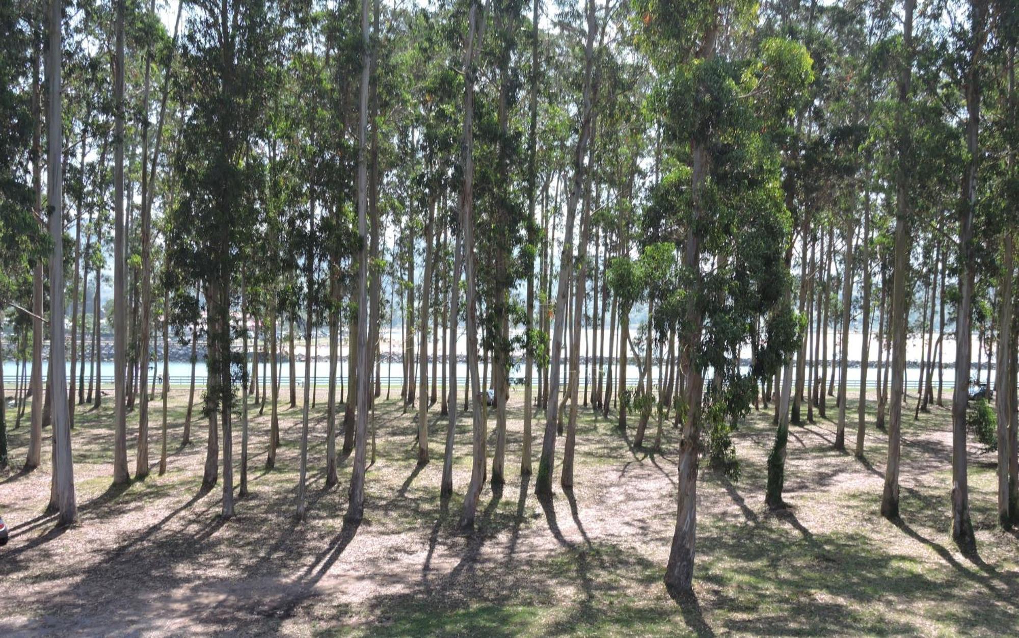 Apartamento Pie De Playa, El Puntal-Villaviciosa فِيافيثيوسّا المظهر الخارجي الصورة
